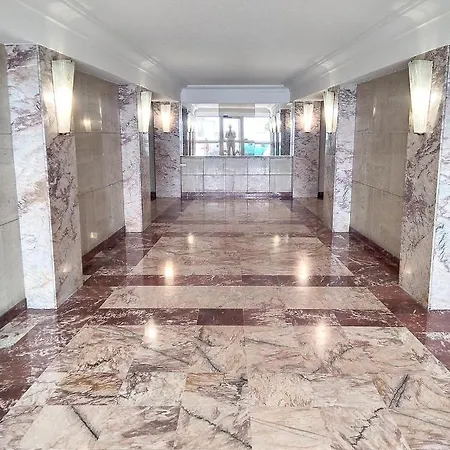 Constellation 주앙레핑