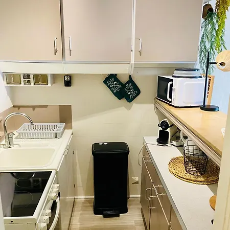 Constellation * 주앙레핑