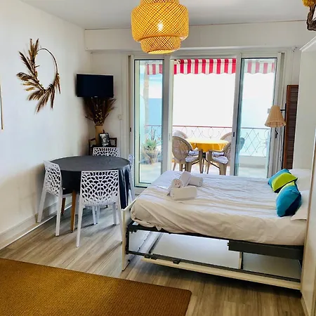 Constellation * 주앙레핑